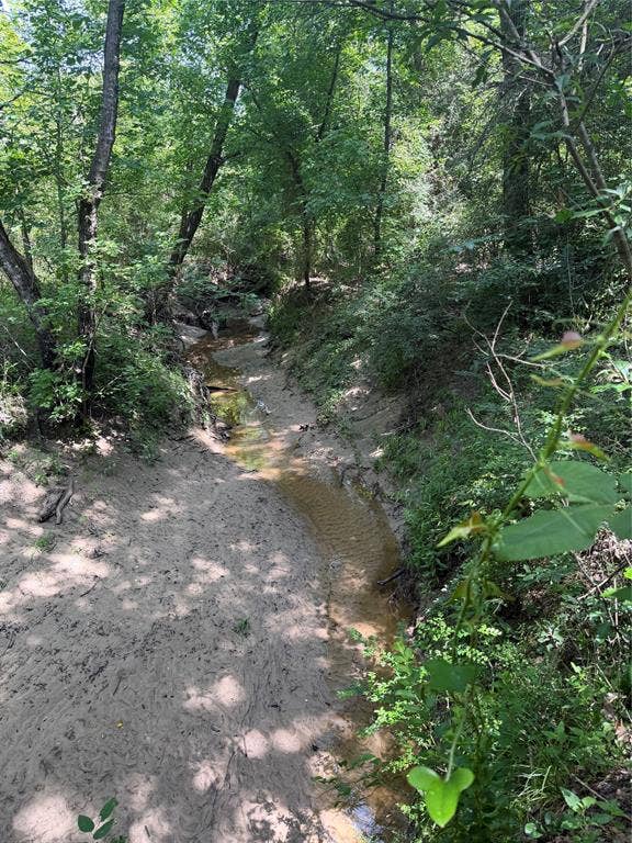 Creek