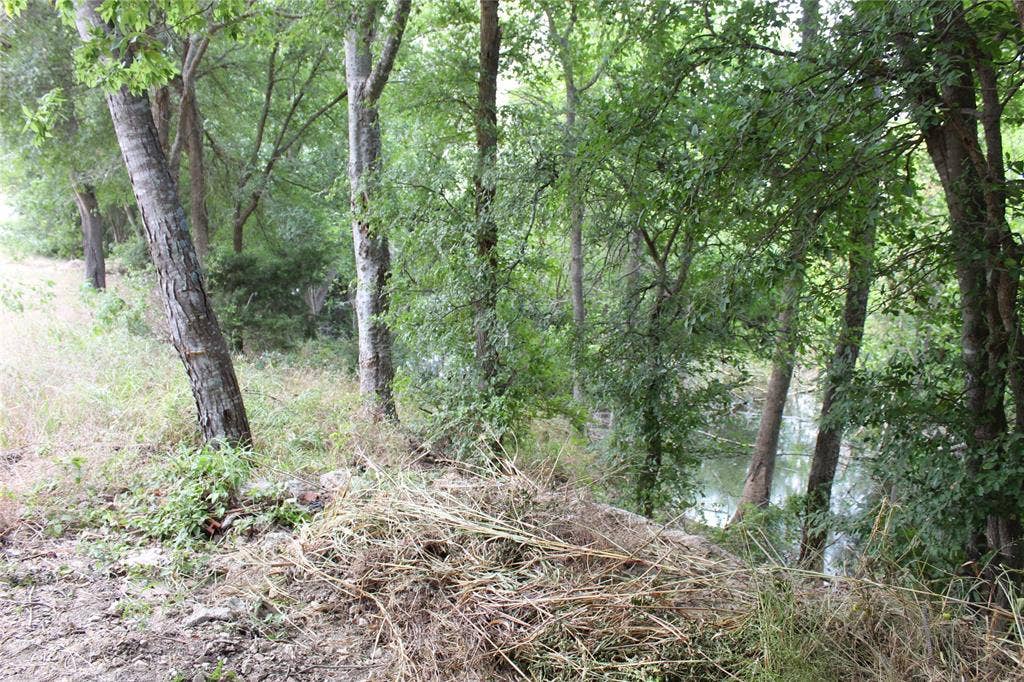 13762 County Road 4124, Crandall, TX 75114 Mature Trees