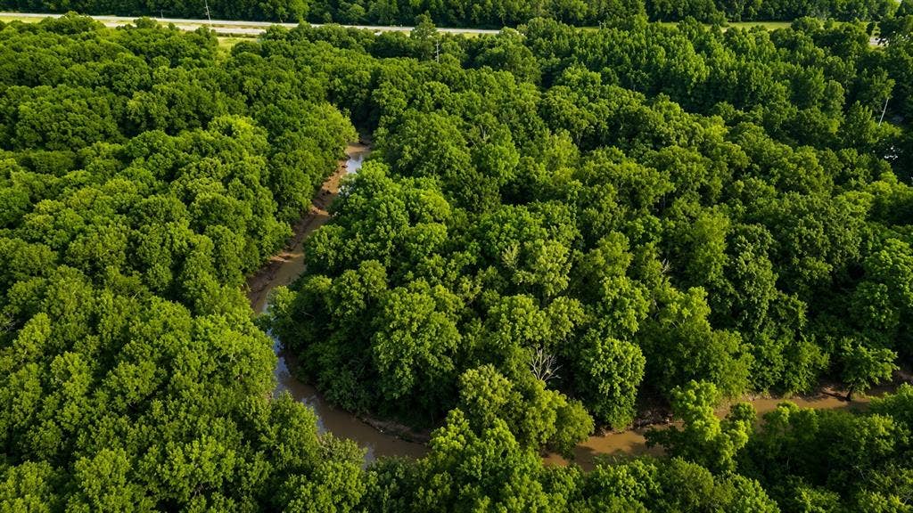 TBD W HWY 80, Mineola, TX 75773 Sabine River shown