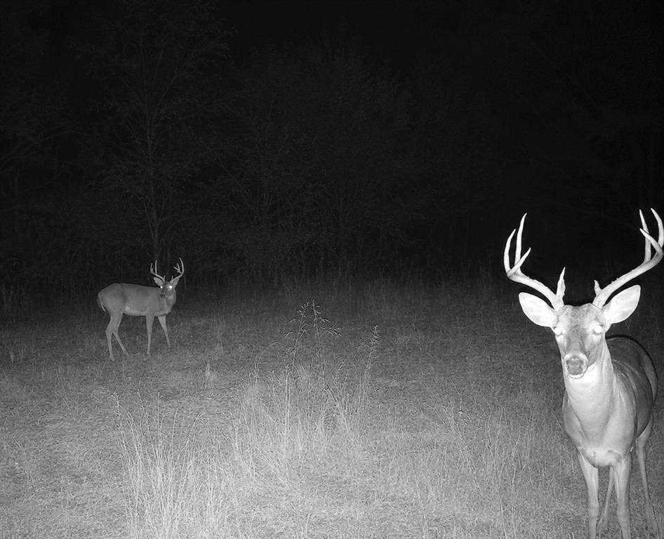 TBD W HWY 80, Mineola, TX 75773 TBD W HWY 80, Mineola, TX 75773