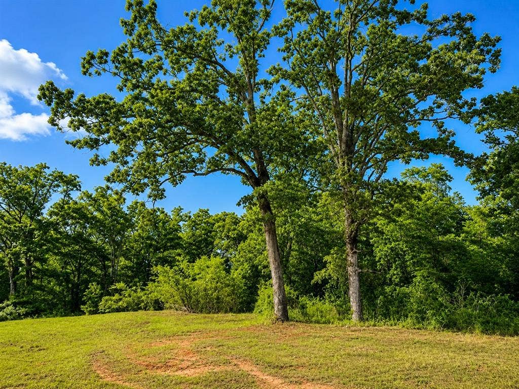 TBD W HWY 80, Mineola, TX 75773 TBD W HWY 80, Mineola, TX 75773