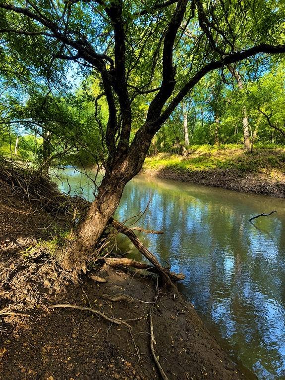 TBD W HWY 80, Mineola, TX 75773 Sabine River