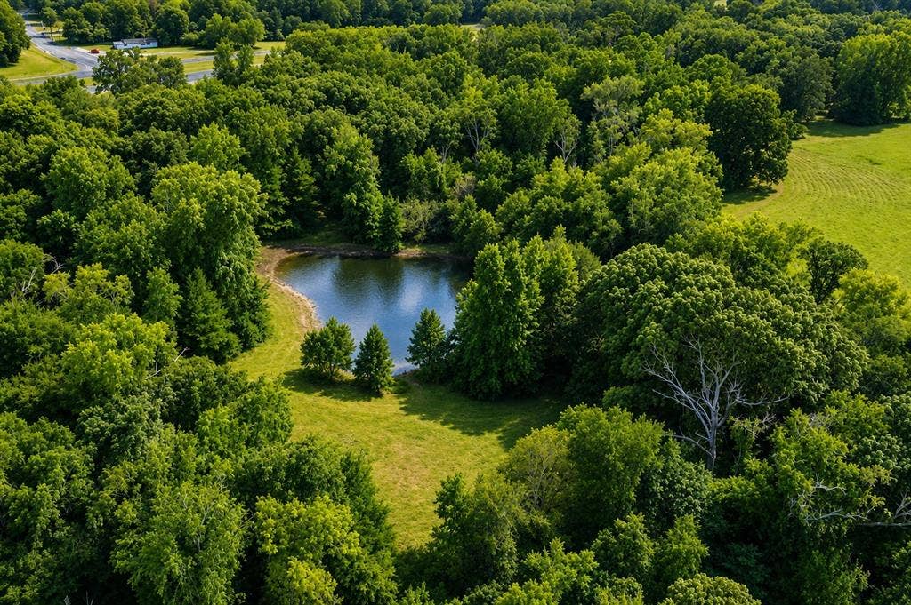 TBD W HWY 80, Mineola, TX 75773 Pond