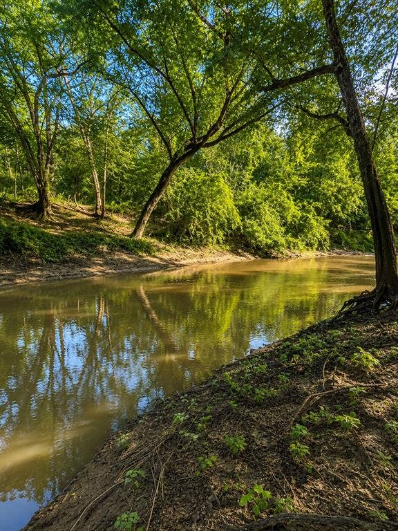 TBD W HWY 80, Mineola, TX 75773 Sabine River