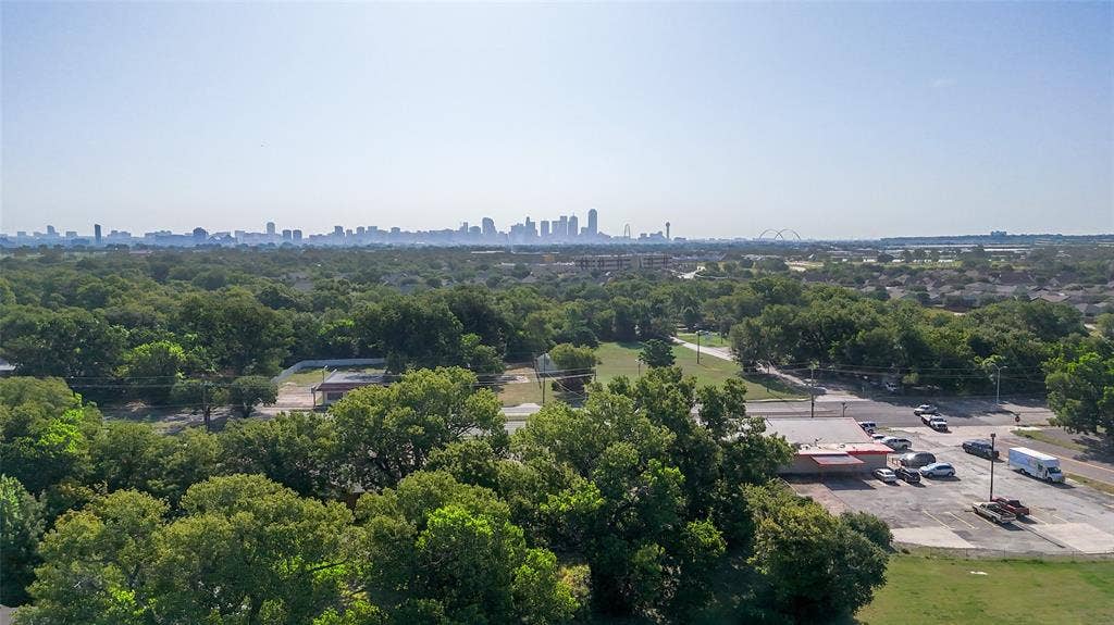 3725 Vineyard Drive, Dallas, TX 75212 Expansive tree canopy with a distant city skyline visible on the horizon