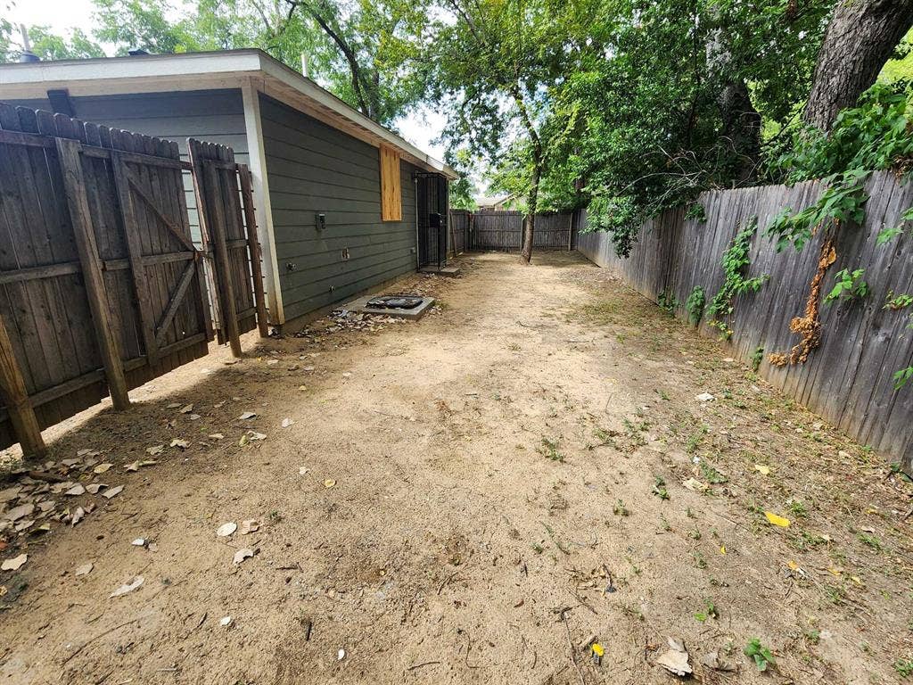 Back yard