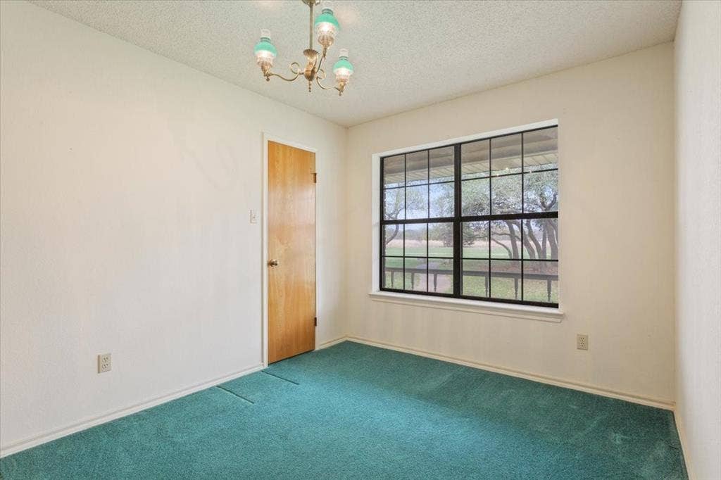 146 Indian Paint Brush Road, Eddy, TX 76524 Interior room featuring a large window with black grid panes, light-colored walls, and teal carpeting