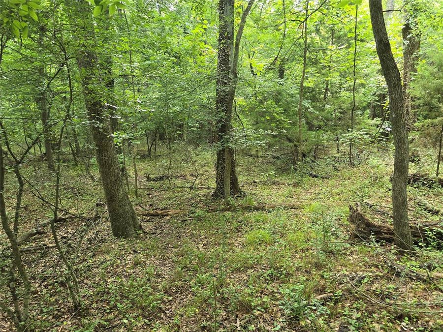 Property photo for 9999 County Road 2304, Quinlan, TX