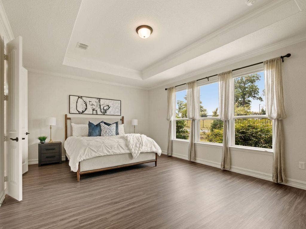 Primary with tray ceiling and great natural light