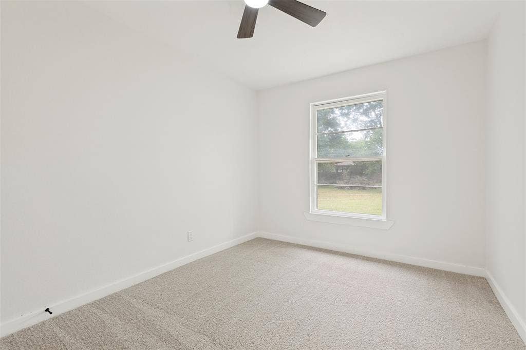 Neutral wall paint, carpeted flooring, a single window, and a ceiling fan with dark-toned blades