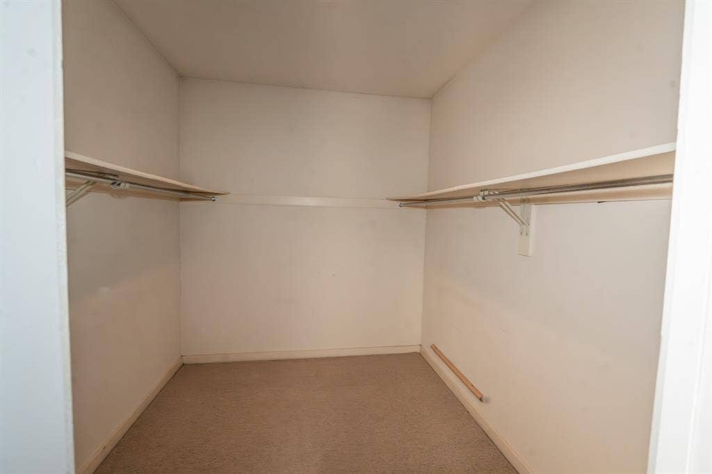 2818 Welborn Drive, #9, Dallas, TX 75219 Walk-in closet for primary bedroom with carpet flooring and white walls