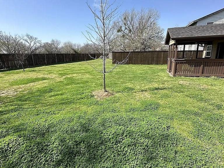 Oversized back yard
