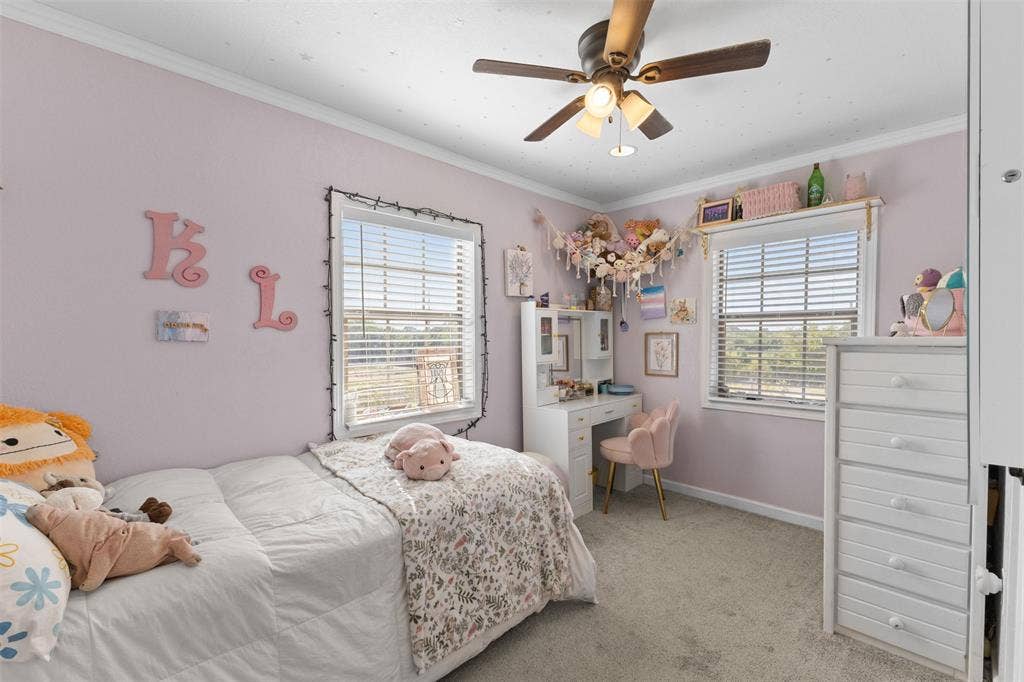 325 Bolton Road, Granbury, TX 76049 Recessed windows with blinds, ceiling fan with integrated lighting, wall-to-wall carpeting, and crown molding