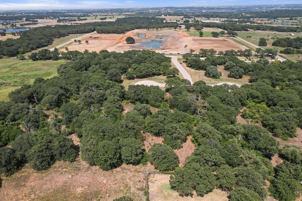 1213 Nottaway Court, Burleson, TX 76028 Gorgeous trees for a healthier life!