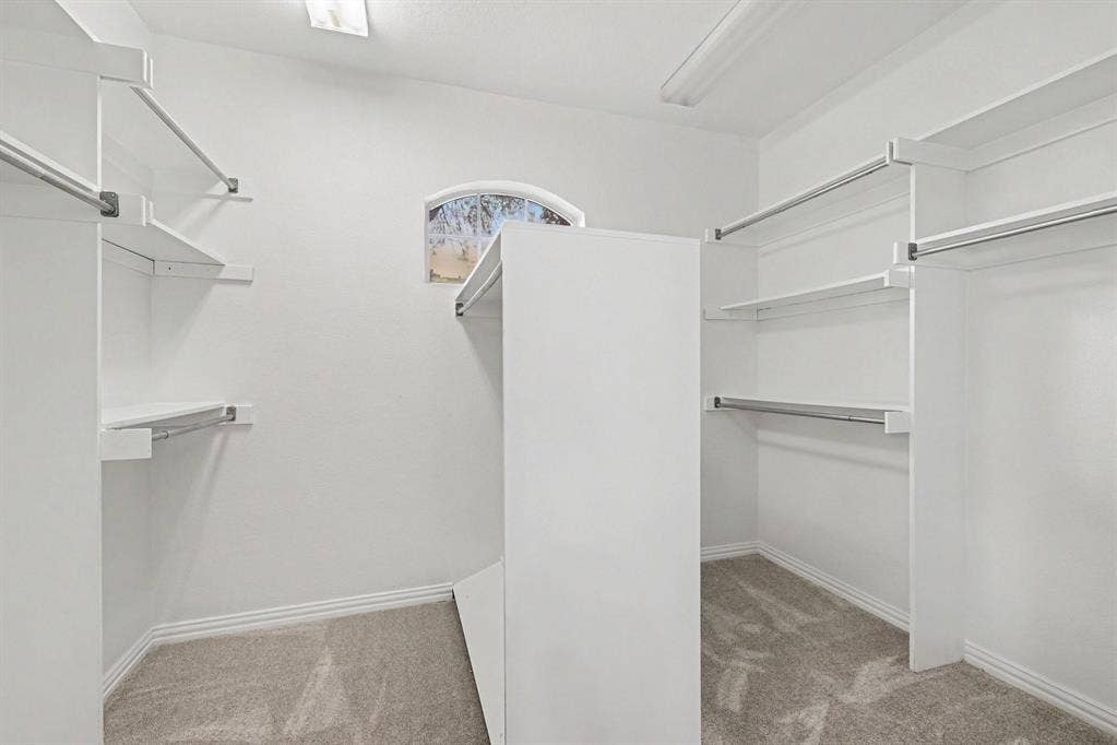 7904 Alderwood Place, Plano, TX 75025 Spacious walk-in closet featuring white built-in shelving, multiple hanging rods, and light-colored carpeting