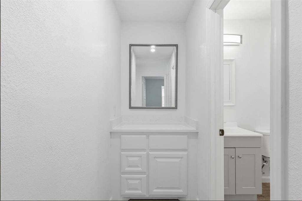 810 N Carrier Parkway, Grand Prairie, TX 75050 Vanity area featuring a white cabinet with paneling, a light-toned countertop, and a framed mirror