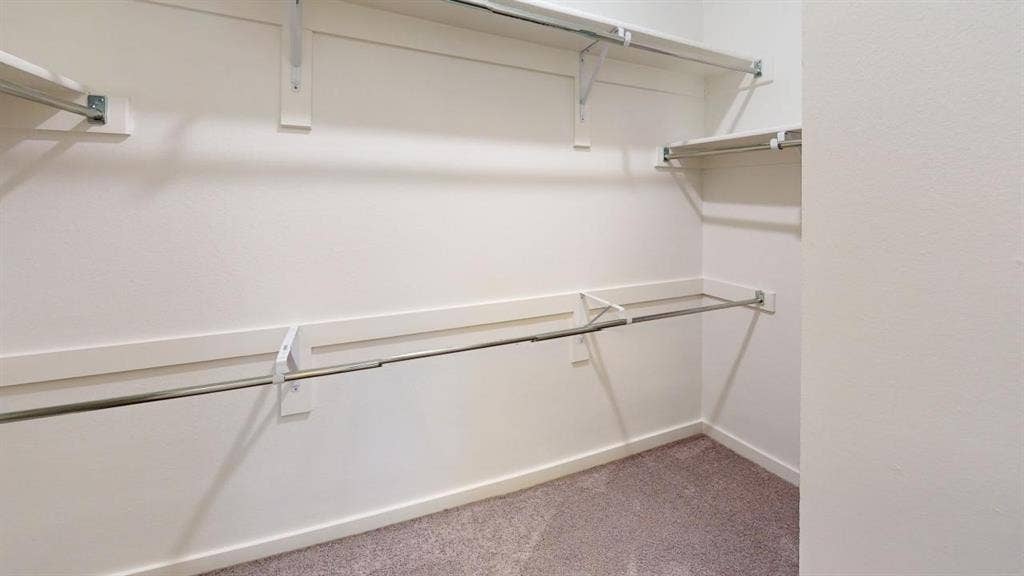 1323 Great Sand Dune Street, Royse City, TX 75189 Walk-in closet with carpet flooring, white walls, and built-in shelving