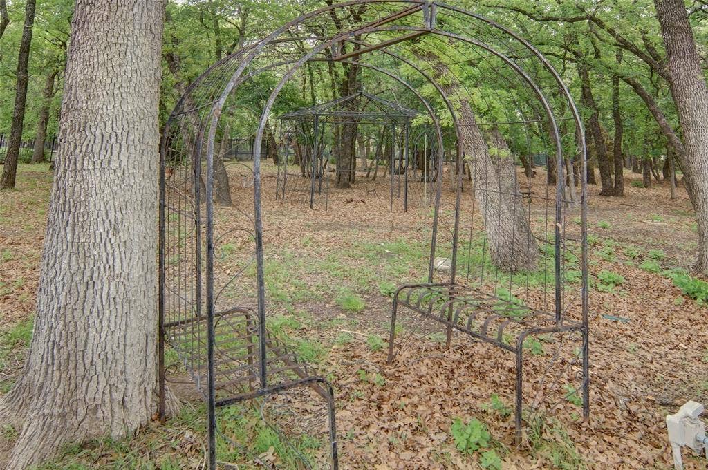 1202 Forest Park Drive, Weatherford, TX 76087 Walk through your own, private forest in this heavily-treed area of property which is home to deer, birds, bunnies, and squirrels.