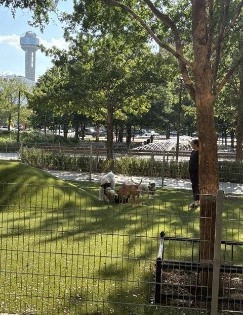 1200 Main Street, #1703, Dallas, TX 75202 Civic Garden Park with Dog Park located next to The Metropolitan