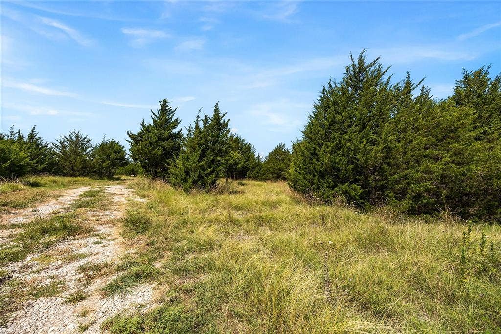 976 Fm 2194, Farmersville, TX 75442 Proposed pull-through RV site.