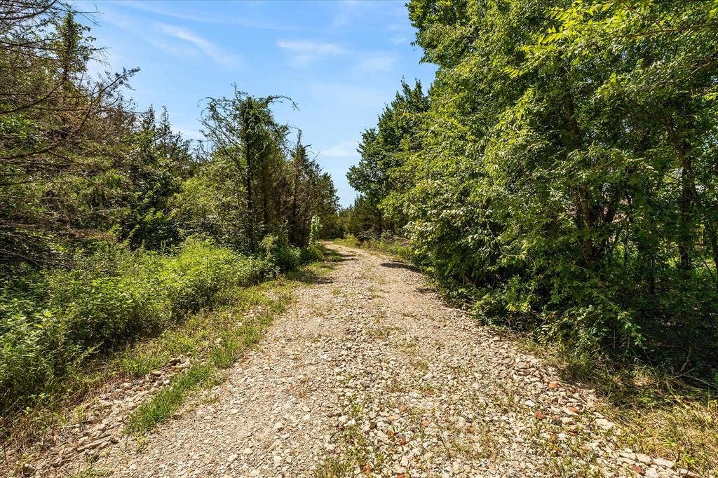 976 Fm 2194, Farmersville, TX 75442 Rock/gravel road leading to the clearing.
