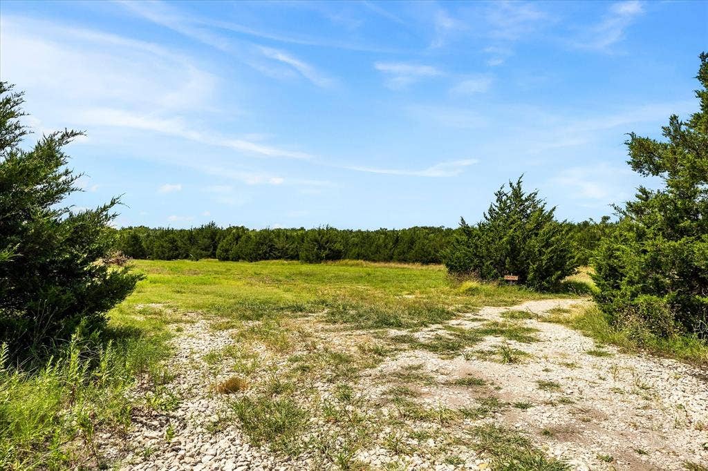 976 Fm 2194, Farmersville, TX 75442 Clearing for proposed Event Center.