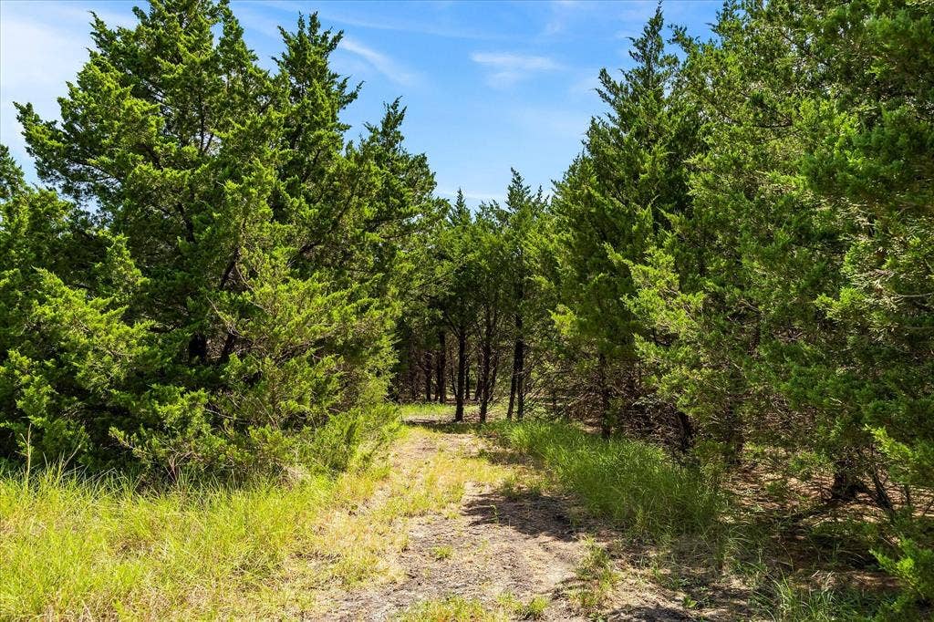 976 Fm 2194, Farmersville, TX 75442 Hiking trail.