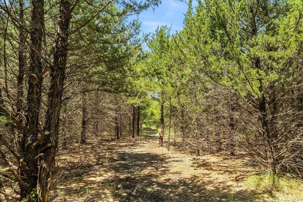 976 Fm 2194, Farmersville, TX 75442 Hiking trail.