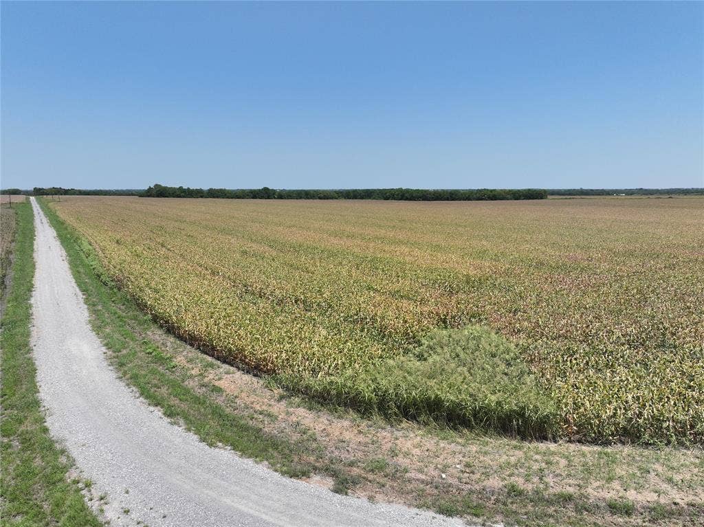 157 Acres FM 904, Ladonia, TX 75449 157 Acres FM 904, Ladonia, TX 75449