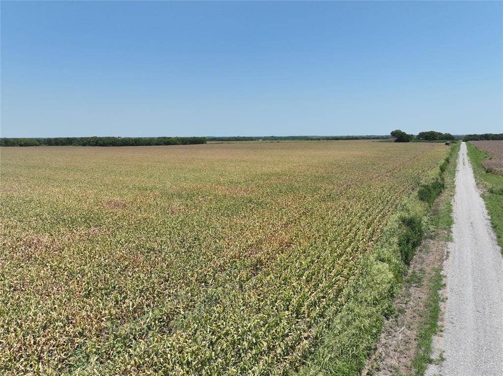 157 Acres FM 904, Ladonia, TX 75449 157 Acres FM 904, Ladonia, TX 75449