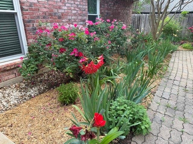 1321 Oak Harbor Boulevard, Azle, TX 76020 Lovely garden area