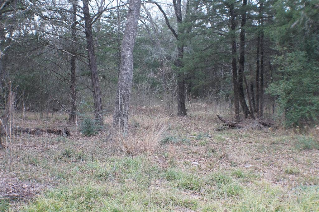 9603 County Road 2404, Kemp, TX 75143 9603 County Road 2404, Kemp, TX 75143