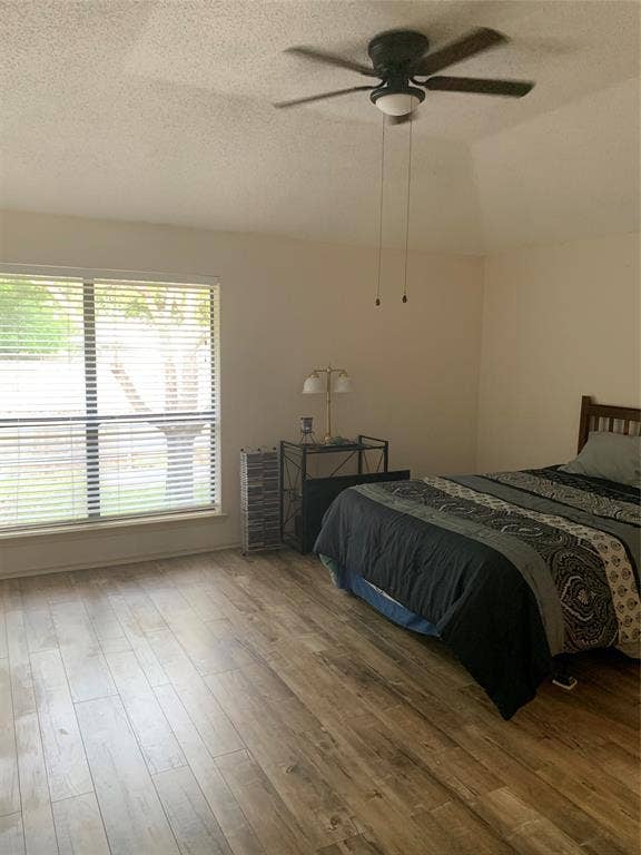 6828 Dalmation Circle, Plano, TX 75023 6828 Dalmation Circle, Plano, TX 75023
