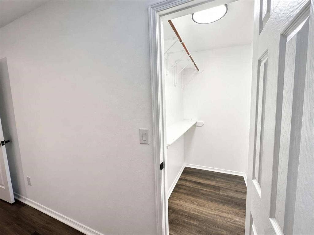 305 N Arizona Drive, #307, Celina, TX 75009 Walk-in closet featuring wood-finish flooring, white wire shelving, a clothing rod, and overhead lighting