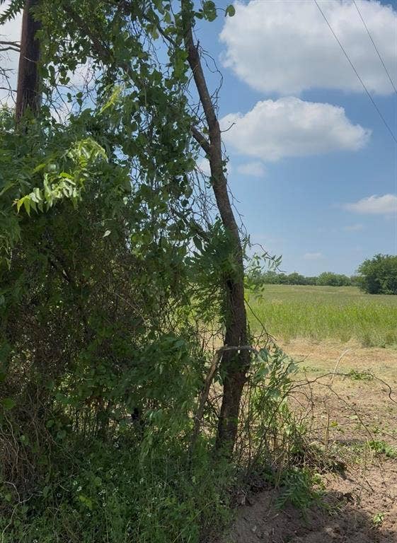 Property photo for Lot 1 County Road 308, Terrell, TX