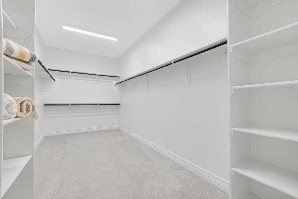 Big Walk in Closet with Carpeting and lots of Light