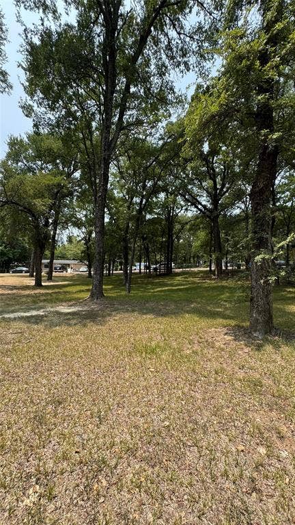 228 Whispering Trail, Gun Barrel City, TX 75156 Back view looking towards street