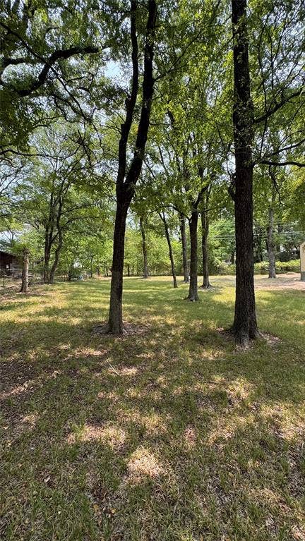 228 Whispering Trail, Gun Barrel City, TX 75156 Street view looking towards back