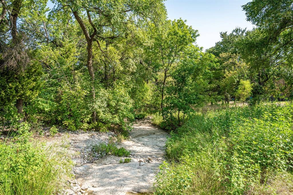 Creek near some of the walking/jogging paths.