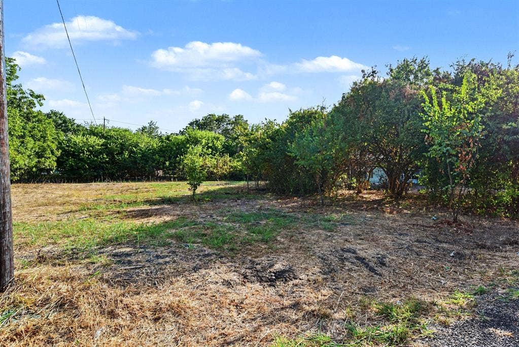 00 County Road 930, Nevada, TX 75173 Lot view from road