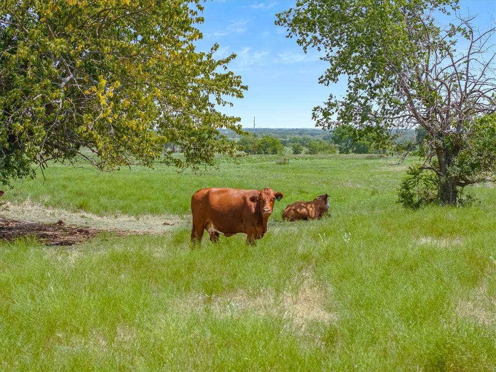5030 N Fm 148, Crandall, TX 75114 5030 N Fm 148, Crandall, TX 75114