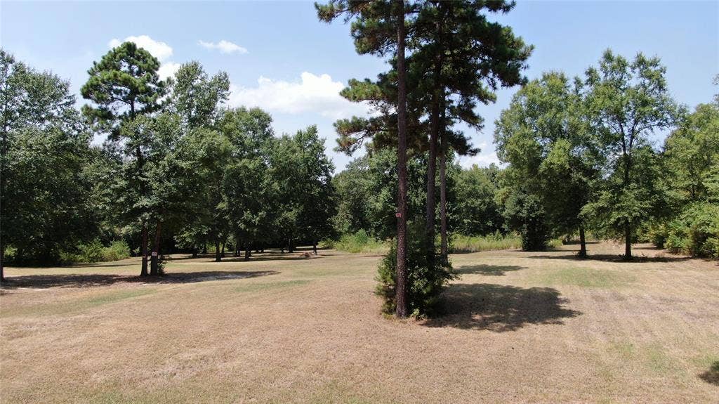 0 Big Eddy Road, Chandler, TX 75758