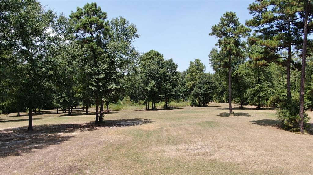 0 Big Eddy Road, Chandler, TX 75758