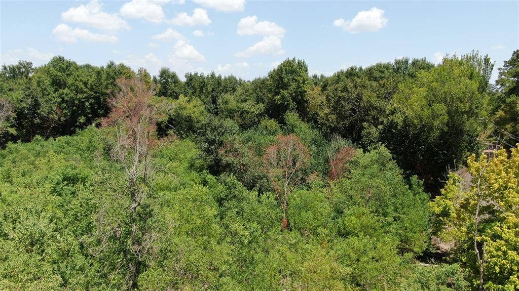 0 Big Eddy Road, Chandler, TX 75758