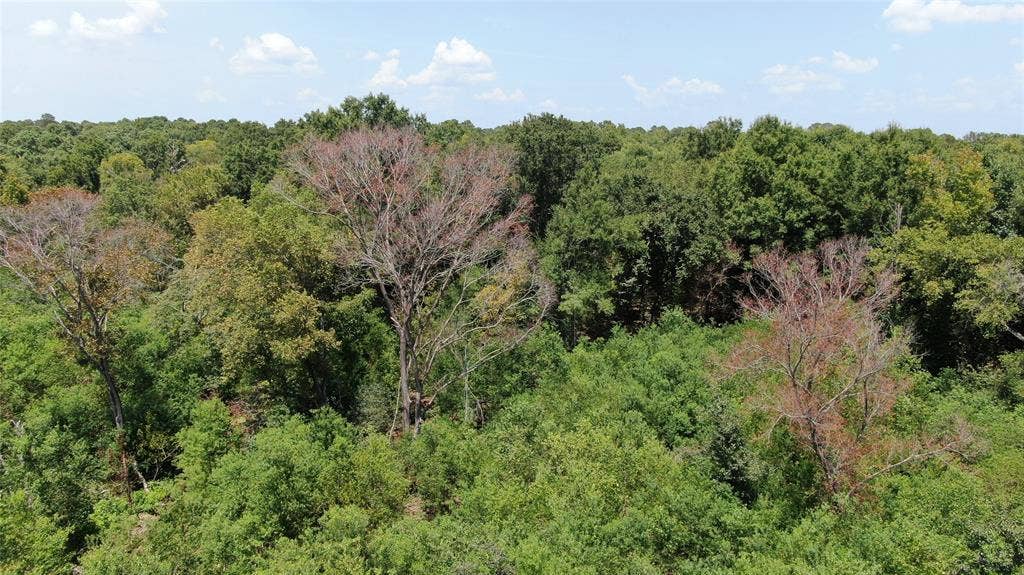 0 Big Eddy Road, Chandler, TX 75758
