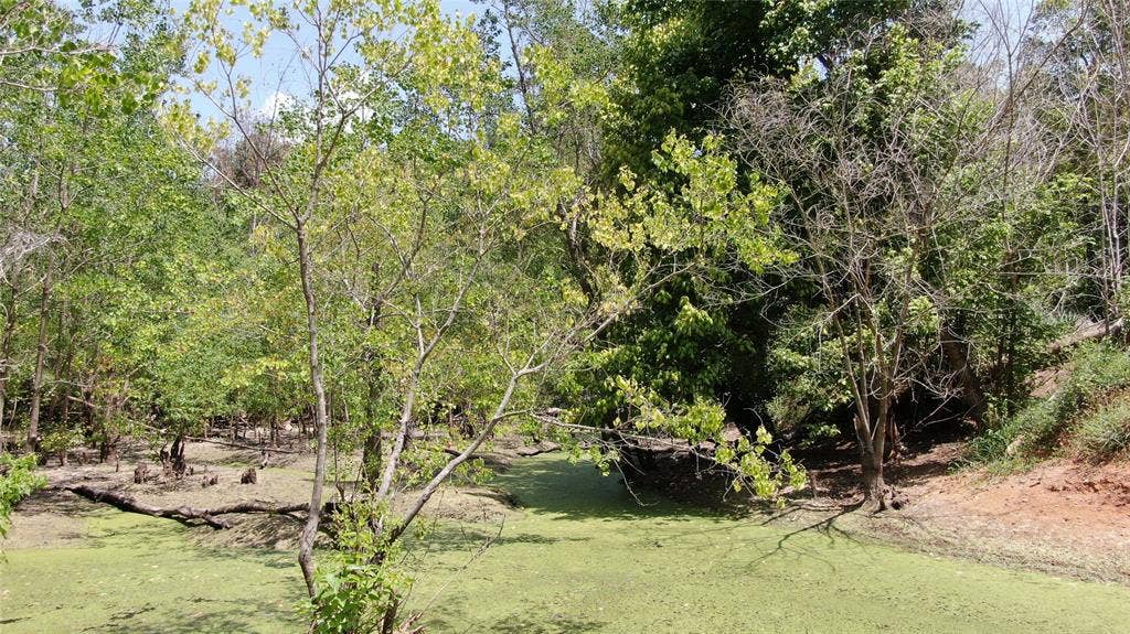 0 Big Eddy Road, Chandler, TX 75758