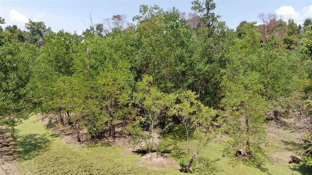 0 Big Eddy Road, Chandler, TX 75758