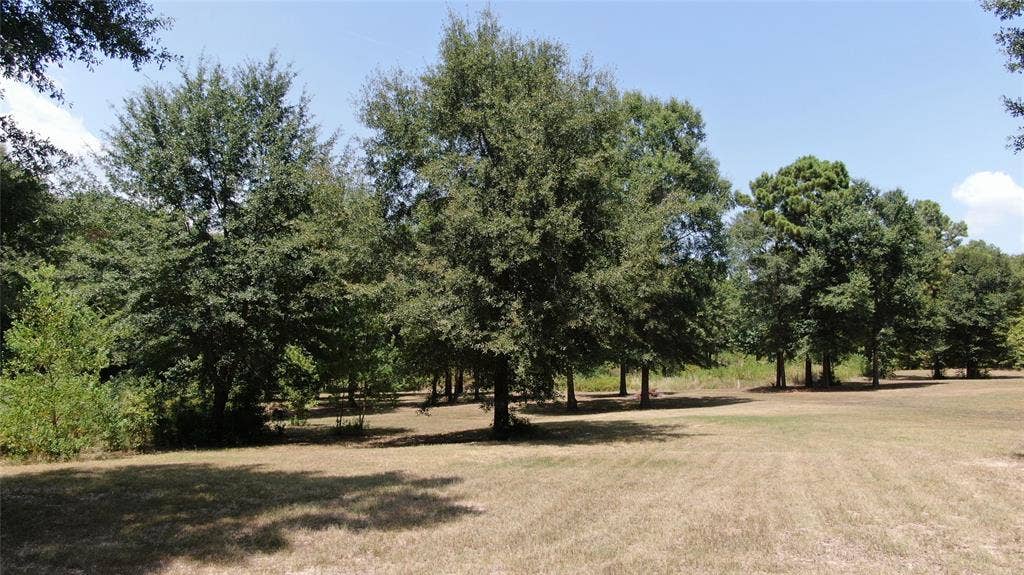 0 Big Eddy Road, Chandler, TX 75758