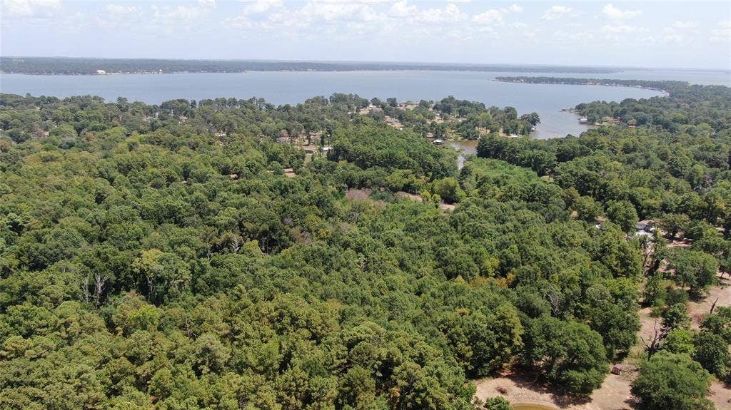 00 Big Eddy Road, Chandler, TX 75758 00 Big Eddy Road, Chandler, TX 75758