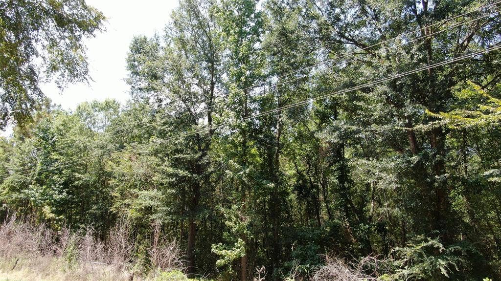 00 Big Eddy Road, Chandler, TX 75758 00 Big Eddy Road, Chandler, TX 75758